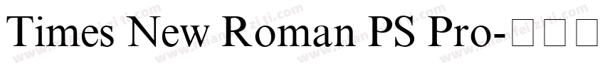 Times New Roman PS Pro字体转换